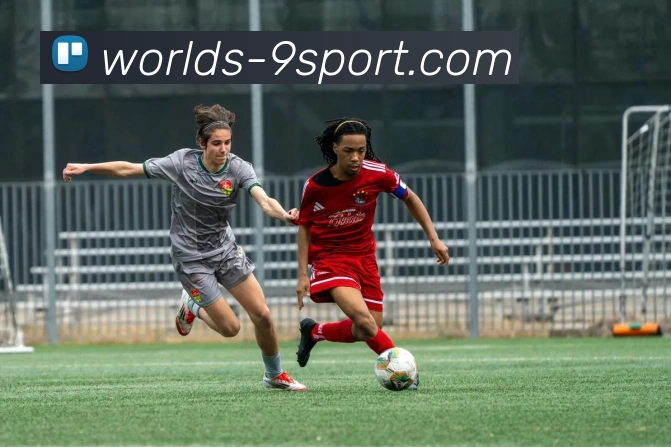 九游体育官网平台生态图